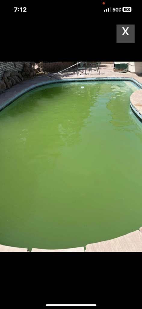 An algae-infested green pool before professional cleaning by Vegas Integrity Pool Service in Las Vegas, NV.