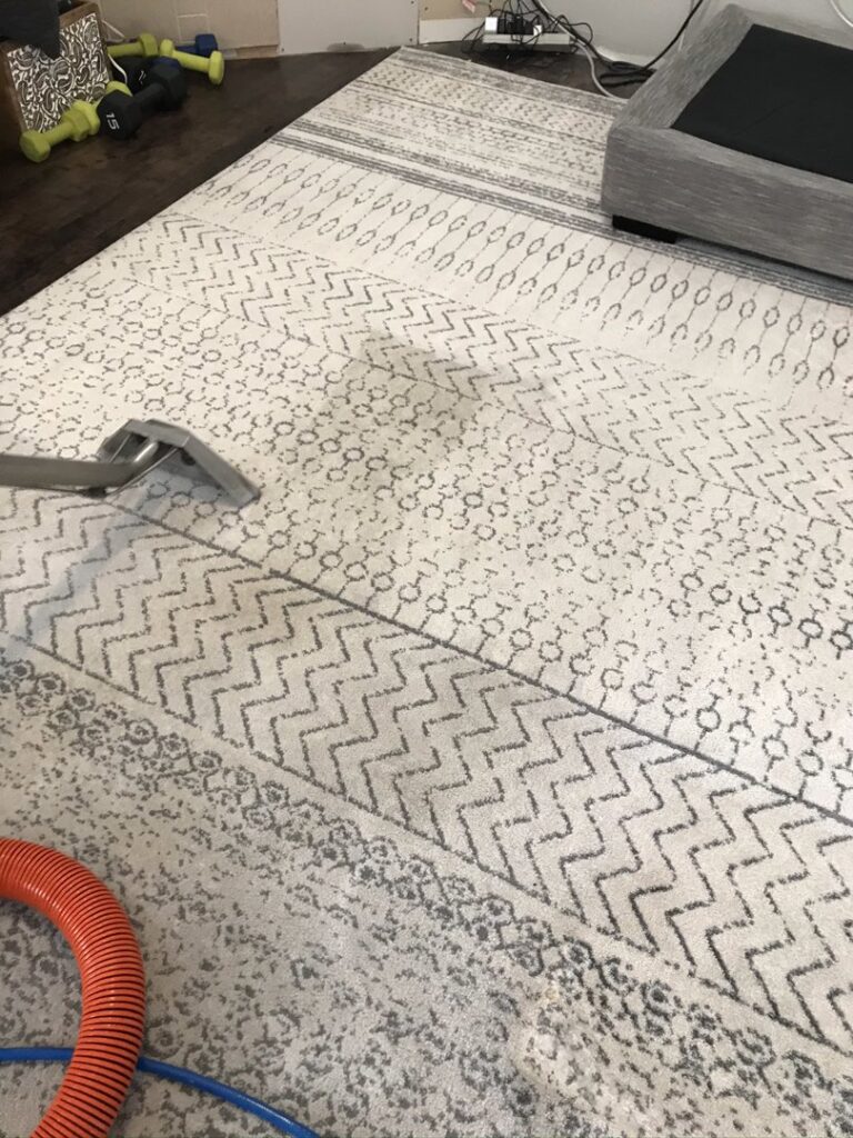 A professional cleaning an area rug with specialized equipment from Happy Client Cleaning Services in Fort Collins, CO.