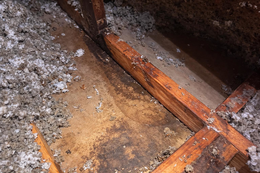Water damage in attic or floor cavity, showing dark stains on wood and wet insulation, by Dakota Fire and Water Restoration in Bismarck, ND