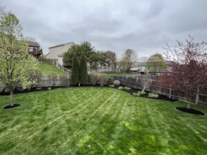 A neatly mowed backyard with fresh mulch in the garden beds, showcasing lawn care services by Kanger Lawns LLC in Omaha, NE.