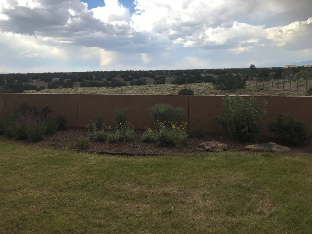 A lush backyard lawn with a landscaped bed of shrubs and decorative rocks by Pro Scape in Eustis, FL.