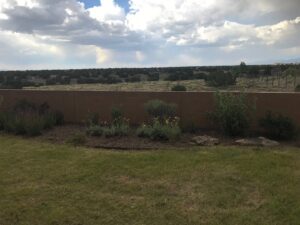 A lush backyard lawn with a landscaped bed of shrubs and decorative rocks by Pro Scape in Eustis, FL.