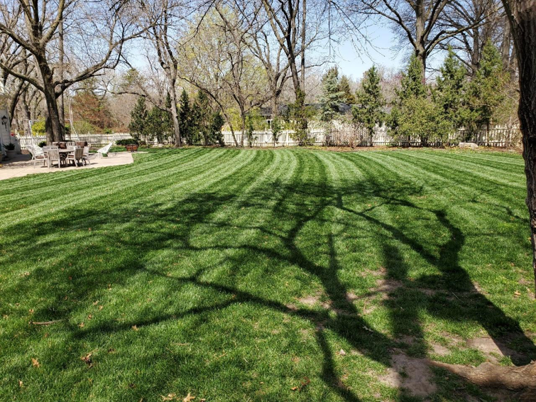 A well-maintained backyard lawn with distinct mowing stripes and a patio area, provided by A & B Lawn Service LLC in Baytown, TX.