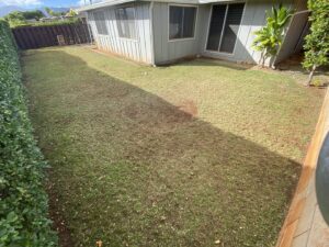 A backyard lawn with some bare spots, indicating a need for professional lawn care from LTN Yard Services LLC in Kaneohe, HI.