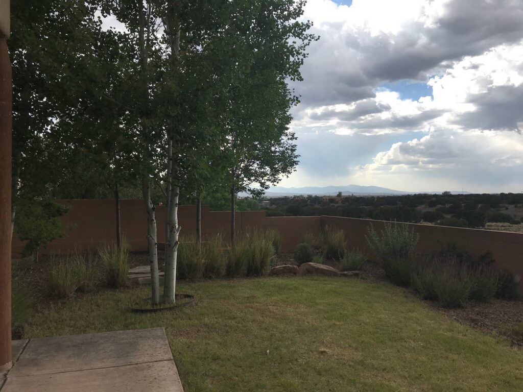 A scenic view of a backyard lawn with trees, shrubs, and a retaining wall by Pro Scape in Eustis, FL.