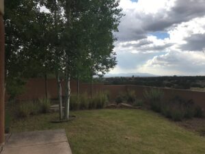 A scenic view of a backyard lawn with trees, shrubs, and a retaining wall by Pro Scape in Eustis, FL.