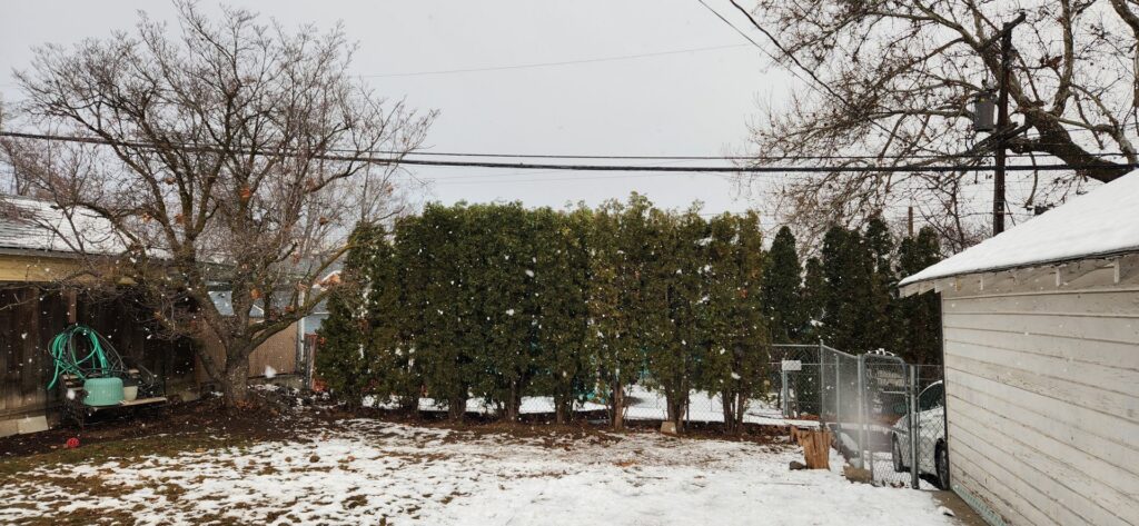 A backyard covered in fresh snow, indicating a need for snow removal services from Fine Lines Yard Maintenance in Yakima, WA.