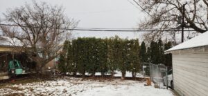 A backyard covered in fresh snow, indicating a need for snow removal services from Fine Lines Yard Maintenance in Yakima, WA.