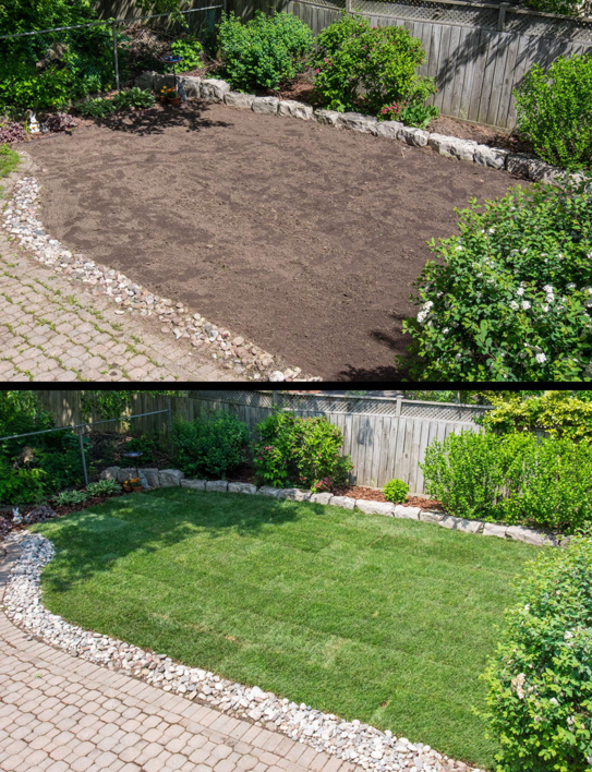 Before and after view of a backyard showing new sod installation by All American Sod LLC in Sandy, UT.