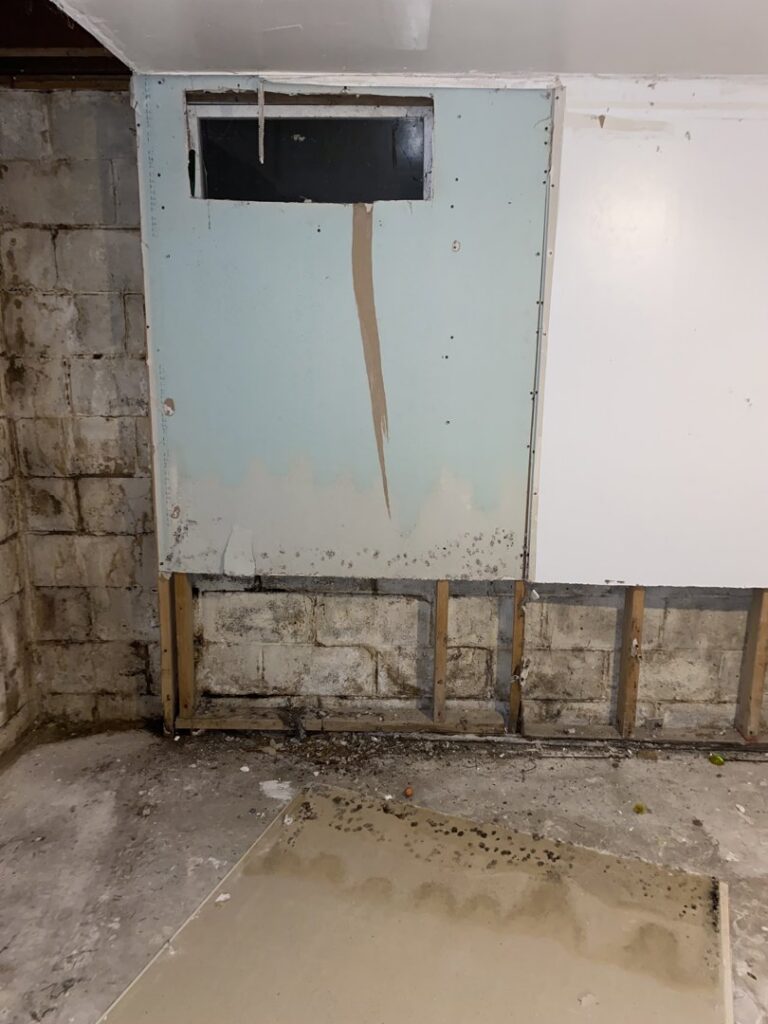 Basement wall with extensive water damage, mold growth, and removed drywall by Acclaim Restoration in Harrisburg, PA
