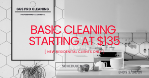 A sparkling clean and modern kitchen, illustrating the quality of basic cleaning services from Gus Pro Cleaning in Columbus, OH.