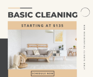 A clean and tidy living room, showcasing the results of basic cleaning services by Gus Pro Cleaning in Columbus, OH.