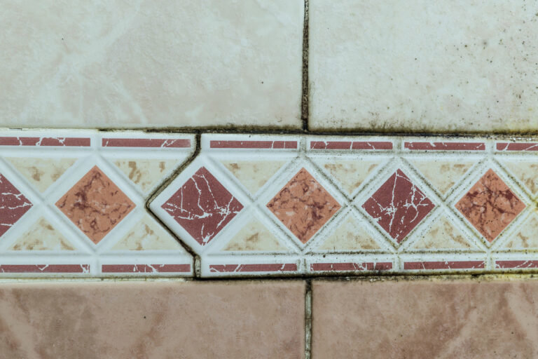 Close-up of bathroom tiles with black mold and mildew in the grout lines, indicating moisture issues addressed by Local Clean Up Specialists in Green Bay, WI.