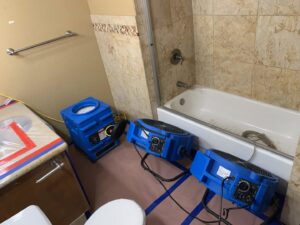 Multiple blue drying fans set up in a bathroom to address water damage by Emergency Flood Team in Gilbert, AZ