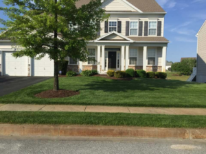 A beautifully maintained front yard with a lush green lawn and manicured shrubs by Mike's Lawn Care Service in Dover, DE.