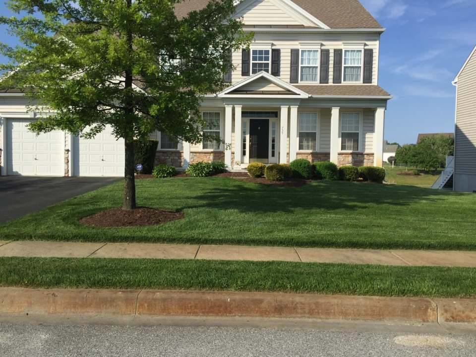 A beautifully maintained front yard with a lush green lawn and manicured shrubs by Mike's Lawn Care Service in Dover, DE.