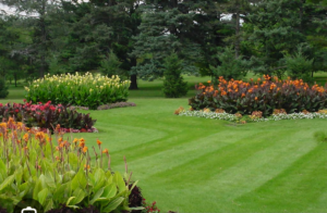 A beautifully mowed lawn with distinct stripes and colorful flower beds by Amazing Lawns & Lighting in Omaha, NE.