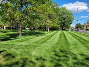 A beautifully mowed lawn with distinct stripes, showcasing professional lawn care by A & B Lawn Service LLC in Baytown, TX.