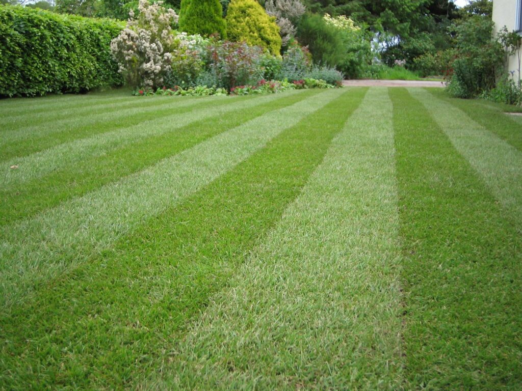 A beautifully striped front lawn, a testament to the professional mowing services of Matt's Lawn Service in Casper, WY.