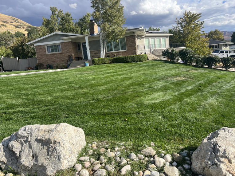 A beautifully striped green lawn in front of a modern house by Lakeside Lawn Care in Sanford, NC.