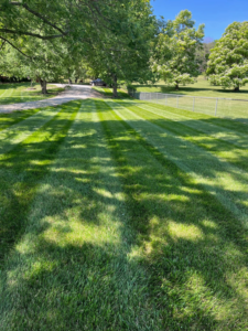 A beautifully striped residential lawn, expertly maintained by Kemple Lawn Care in Lawrence, KS, with trees providing shade.