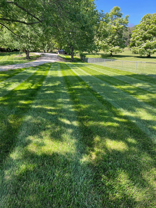 A beautifully striped residential lawn, expertly maintained by Kemple Lawn Care in Lawrence, KS, with trees providing shade.
