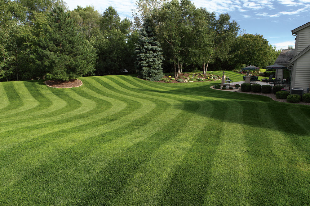 A meticulously striped, vibrant green residential lawn, demonstrating the high-quality work of Nice & Precise Lawn Care in Ames, IA.