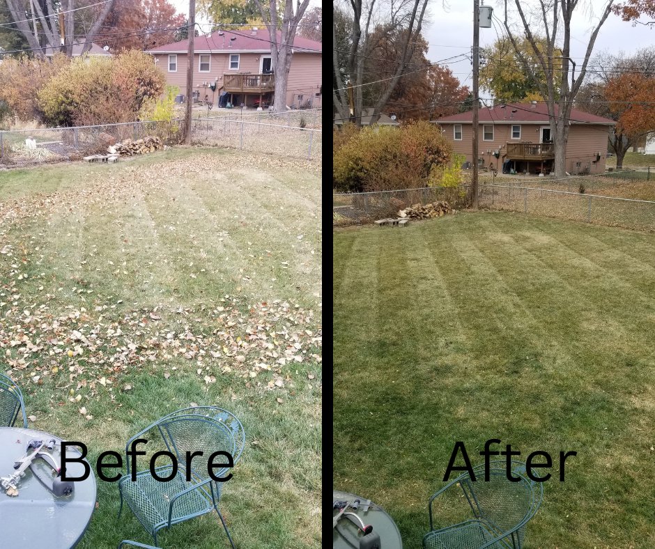 Before and after comparison of a backyard, showcasing leaf removal and professional lawn mowing by TB Groundskeeping in Omaha, NE.