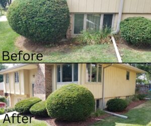 Before and after comparison showing overgrown bushes trimmed and garden beds mulched by TB Groundskeeping in Omaha, NE.