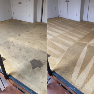 Before and after comparison of a professionally cleaned carpet by Anytime Commercial Cleaning, LLC in Omaha, NE.