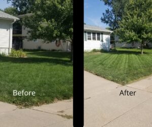 Before and after comparison of a front lawn, demonstrating expert mowing services by TB Groundskeeping in Omaha, NE.