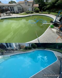 Before and after view of a green pool being cleaned by Pool Services of Wilmington in Wilmington, NC.