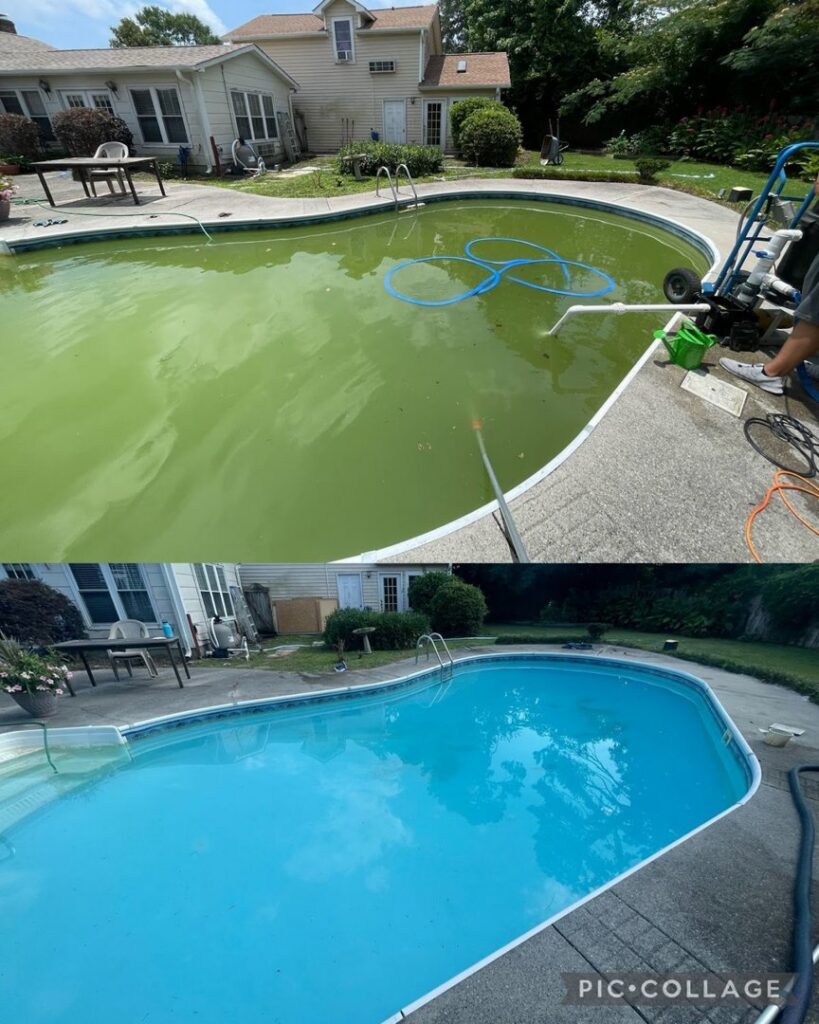 Before and after view of a green pool being cleaned by Pool Services of Wilmington in Wilmington, NC.