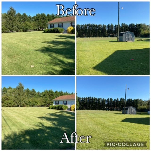 Before and after photos illustrating professional lawn mowing and striping by A & J Lawn Care LLC in Seaford, DE.