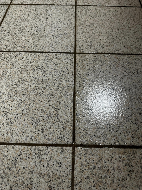 A clear before and after comparison of speckled tile floor cleaning by Dust Devil Cleaning in Eugene, OR.