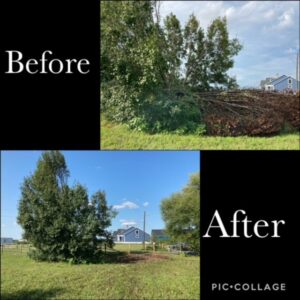 Before and after photos demonstrating tree and bush trimming services by A & J Lawn Care LLC in Corsicana, TX.