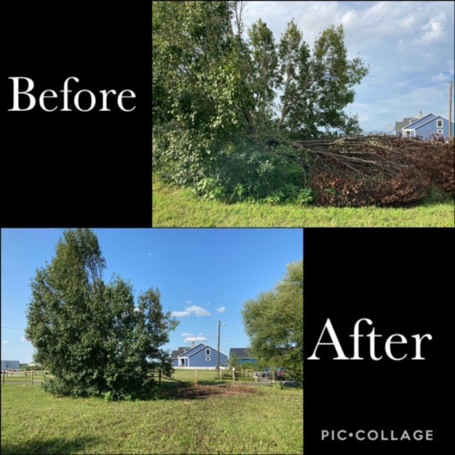 Before and after photos demonstrating tree and bush trimming services by A & J Lawn Care LLC in Corsicana, TX.