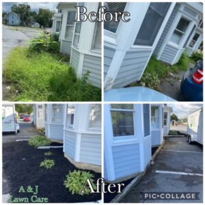 Before and after photos showcasing extensive weed removal and mulching services by A & J Lawn Care LLC in Corsicana, TX.