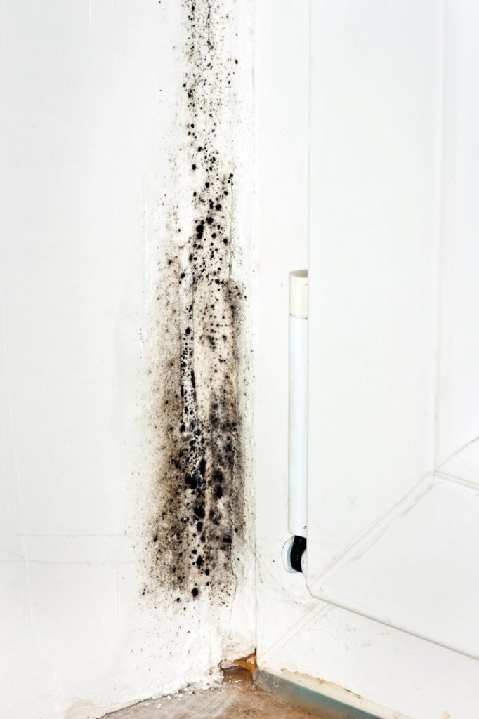 Severe black mold growth visible on a white wall corner, indicating significant water damage, addressed by Green Home Solutions in Mount Airy, MD.