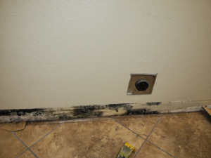 Severe black mold growth at the base of a wall and floor tiles from water damage in Clovis, NM.
