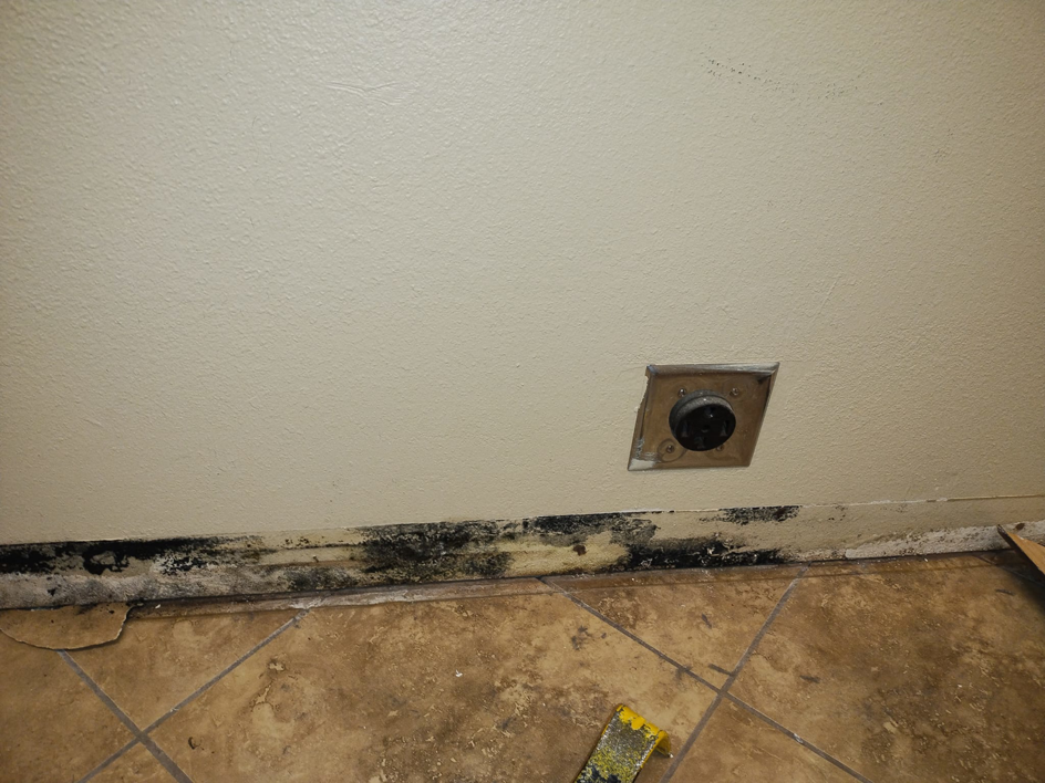 Severe black mold growth at the base of a wall and floor tiles from water damage in Clovis, NM.