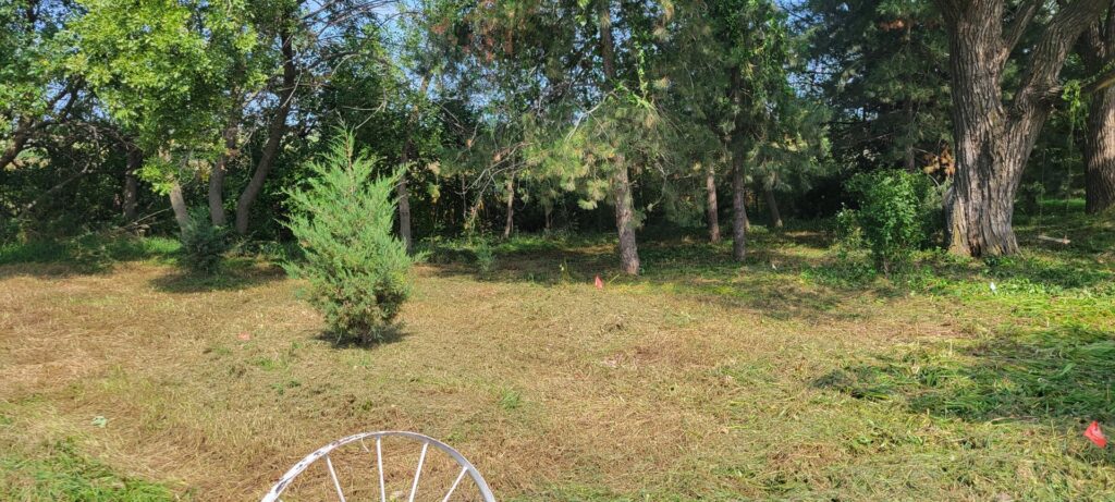 Brush clearing and tall grass mowing service by Lovett lawn care & snow removal in Omaha, NE.