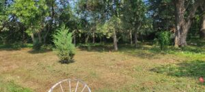 Brush clearing and tall grass mowing service by Lovett lawn care & snow removal in Omaha, NE.