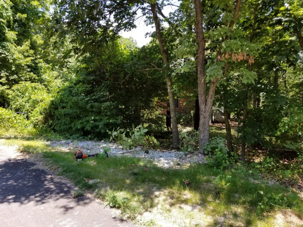 A professional performing brush clearing and yard cleanup services by Full Throttle landscapes and lawn care in Port Orchard, WA.