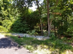 A professional performing brush clearing and yard cleanup services by Full Throttle landscapes and lawn care in Port Orchard, WA.