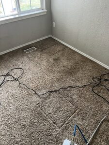 Carpet cleaning equipment in use on a residential carpet, demonstrating services by Blubyrd Cleaning Service in Boise, ID.