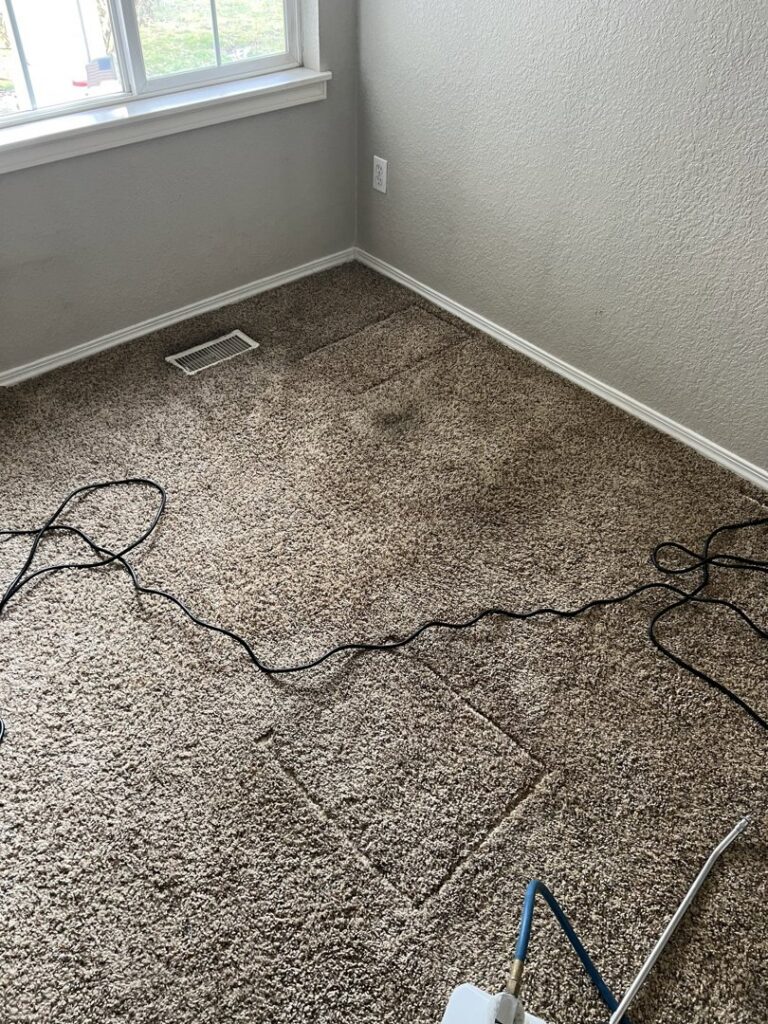 Carpet cleaning equipment in use on a residential carpet, demonstrating services by Blubyrd Cleaning Service in Boise, ID.