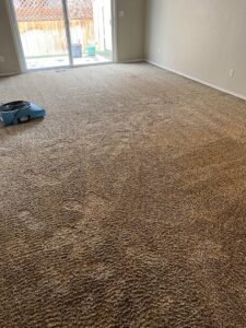 A professional carpet cleaning machine in action in a bedroom, performed by Blubyrd Cleaning Service in Boise, ID.