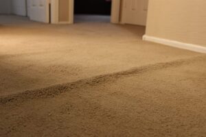 Close-up of a carpet showing distinct cleaning lines, a result of professional service by Pile's Carpet Care & Restoration Service in Elizabethtown, KY.