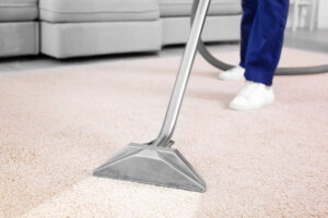 A professional carpet cleaning service being performed by Martha the cleaning lady in Chicago, IL